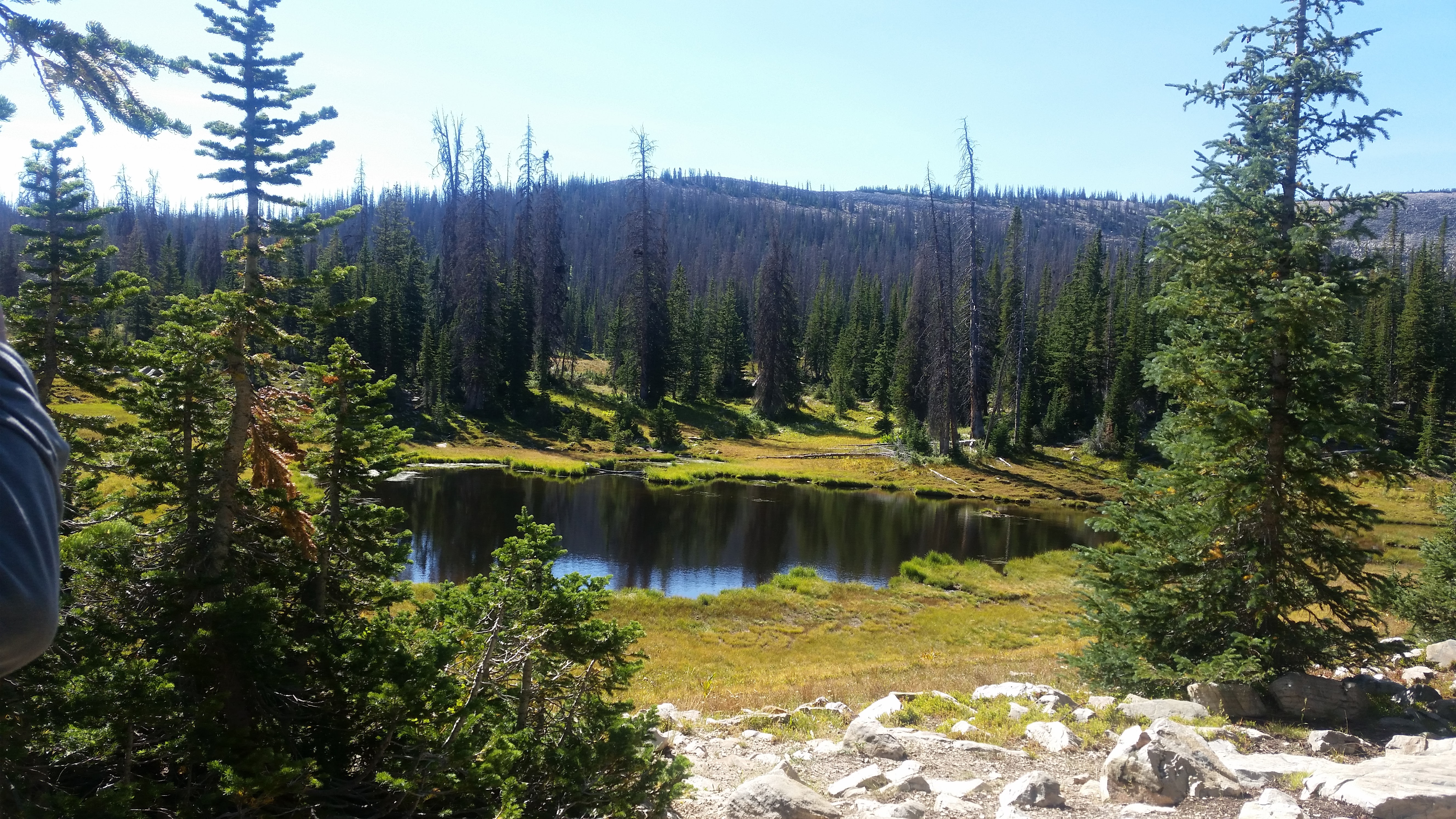 Snowbird – Utah · 2016